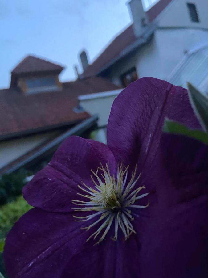 Gasthof Zum Mohrn Oberwoelz Stadt Dış mekan fotoğraf